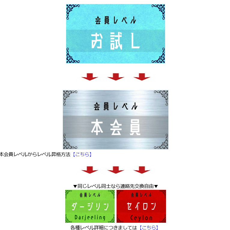 Salon(トップ画面2)