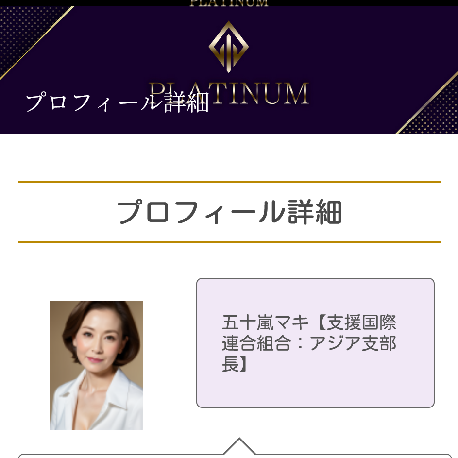 PLATINUMBernina(トップ画面) (2)