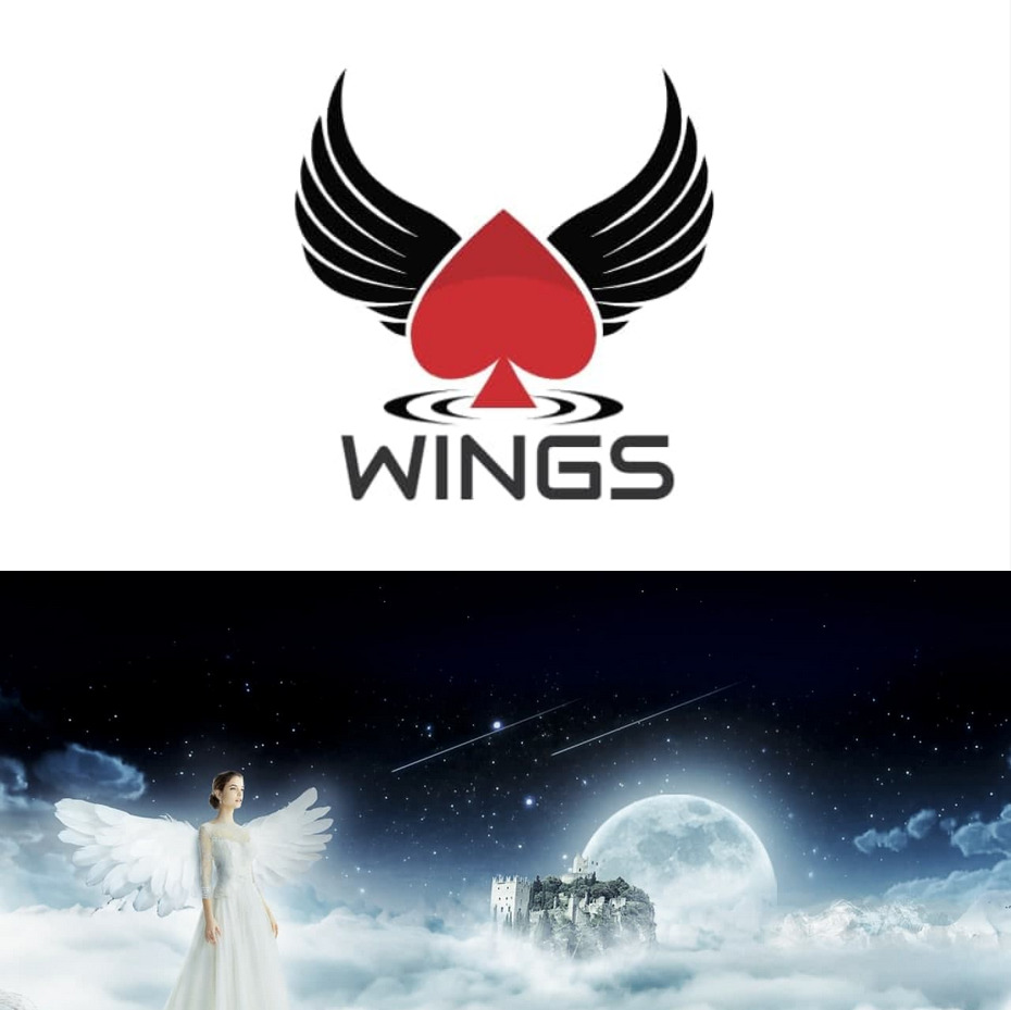 WINGS(トップ画像)